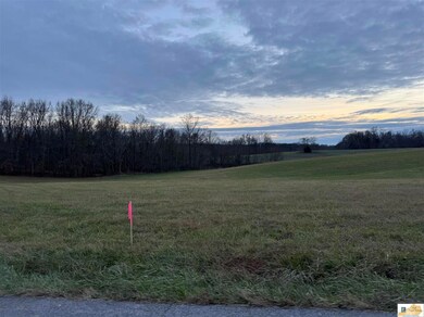 5 Lots at 3319 Allen Schoolhouse Rd, Columbia, KY 42728 - photo 5