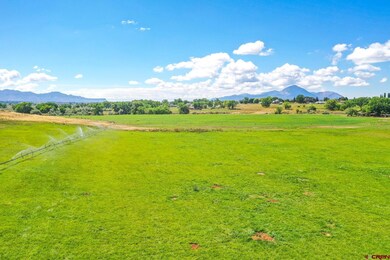 25450 Road N, Cortez, CO 81321 - photo 4