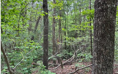 Additional View