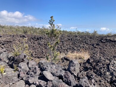 0 Ohia unit 719004, Ocean View, HI 96737 - photo 3
