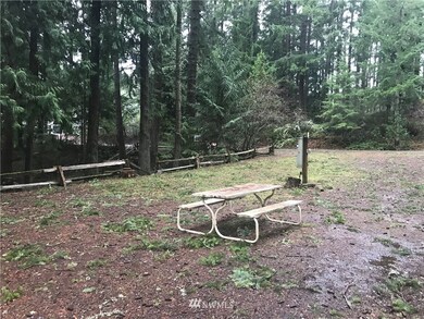 22231 Bluewater Dr SE, Yelm, WA 98597 - photo 4