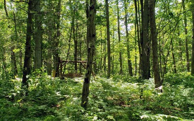 Parcel 004 Woodland Park Dr, Bitely, MI 49309 - photo 3