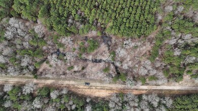 0 County Line Rd unit 15374642, Shepherd, TX 77371 - photo 7