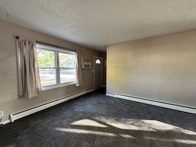 521 S Duff St, Mitchell, SD 57301 - photo 6