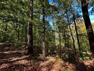 216 W Halfway Branch Rd, Walhalla, SC 29691 - photo 6