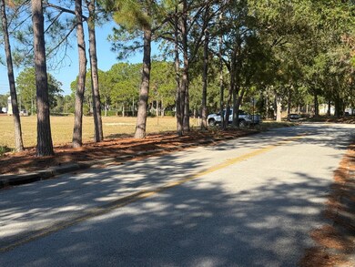 0 Forest Rd, Spring Hill, FL 34606 - photo 3