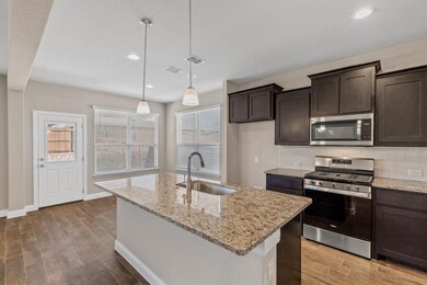 1129 Presidio Ln, Weatherford, TX 76087 - photo 3