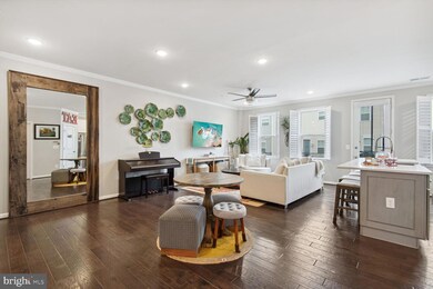 41995 White Mills Terrace, Stone Ridge, VA 20105 - photo 5