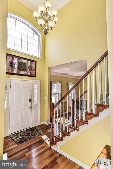 42832 Rectors Chase Way, Ashburn, VA 20148 - photo 5