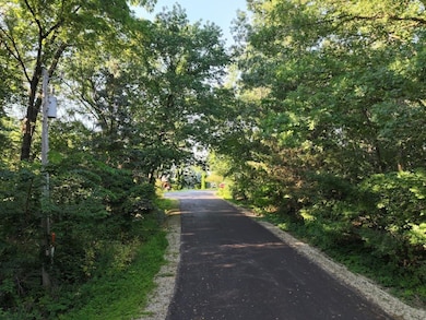 1.29 M/L Acres S Molar Ln, Turtle, WI 53511 - photo 2