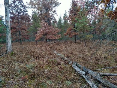 VL Par 3 S Forman Rd, Baldwin, MI 49304 - photo 4