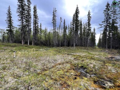 NHN Glennallen 99588 - photo 4