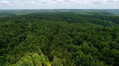 0 Old Mail Rd unit 24835045, Duck River, TN 38454 - photo 6