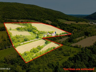 346 Lower Snake Spring Rd, Everett, PA 15537 - photo 4