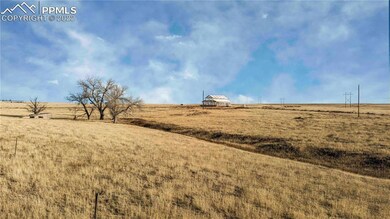 WIDE OPEN SPACES~