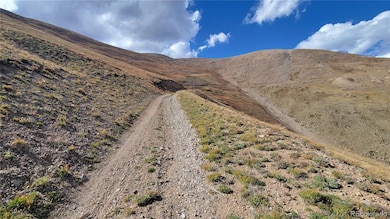 MS #17664- Last Rose Barry Lyndon Rory Omore - 66 66%, Alma, CO 80420 - photo 4