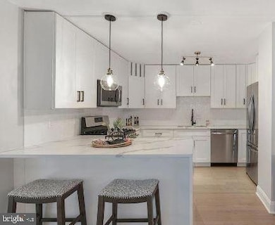 4620 N Park Ave, Chevy Chase, MD 20815 - photo 4