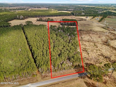 1 Piney Woods Rd, Burgaw, NC 28425 - photo 2