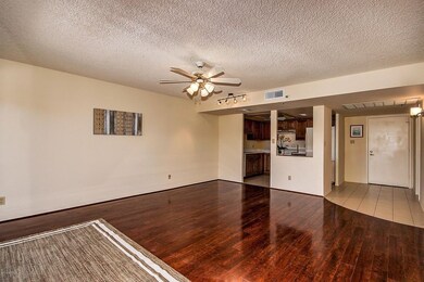 0005-Camelback Unit 308 (5)
