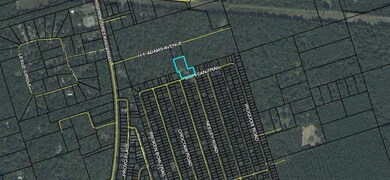 58 Mohican Trail, Crawfordville, FL 32327 - photo 3