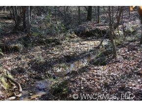 Small meandering stream
