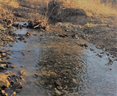 One of three spring-fed creeks converging on this 