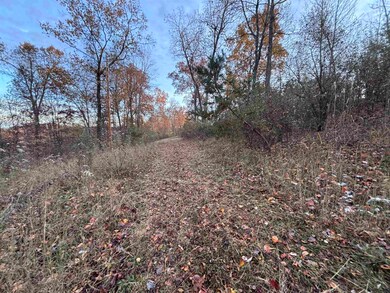 1142 Roscoe Davis Cemetery Rd, Genoa, WV 25517 - photo 6