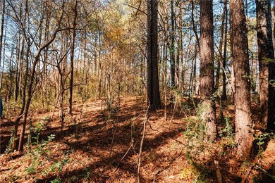 View of nature