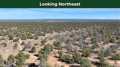 5823 N Cattle Guard Rd, Williams, AZ 86046 - photo 3