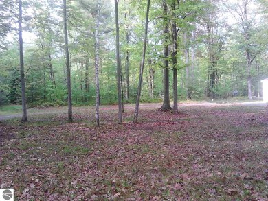 5129 E Michigan Ave, Au Gres, MI 48703 - photo 6