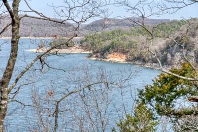 0 The Pointe Dr unit 1267957, Eureka Springs, AR 72631 - photo 5