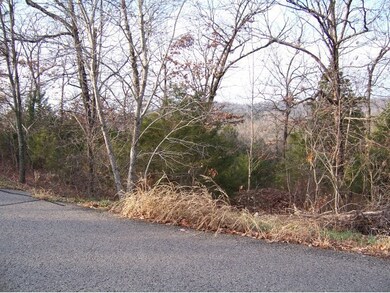 0 Irish Hills Blvd, Kimberling City, MO 65686 - photo 4