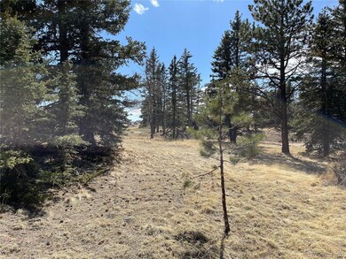 405 Silvermoon Heights, Divide, CO 80814 - photo 2