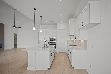 245 Begonia St, Mustang Ridge, TX 78610 - photo 7