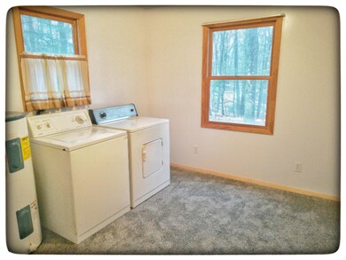 2301 Lincoln St, Bitely, MI 49309 - photo 6