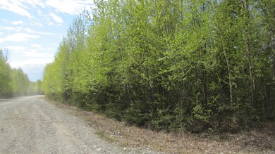 IMG_8797