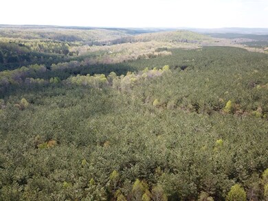 0 Thomas Springs Rd unit 204214, Crossville, TN 38572 - photo 7