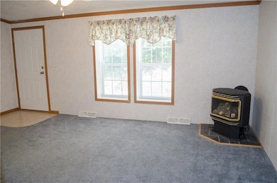 Living room with propane stove