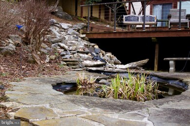 610 Steamboat Run Rd, Shepherdstown, WV 25443 - photo 2