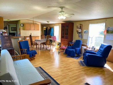 215 Central Ave, Lancing, TN 37770 - photo 6