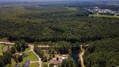 3598 Steamer Trace Rd, Conway, SC 29527 - photo 2