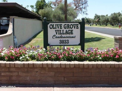 OLIVE GROVE VILLAGE