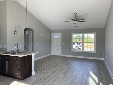 100 Pumpkin Ash Loop, Conway, SC 29527 - photo 5