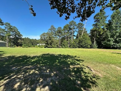 22 Lakeview Rd, Columbia, MS 39429 - photo 2