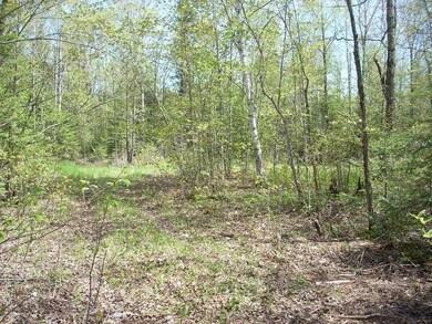 Land/Lot.