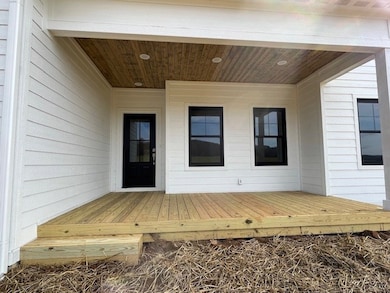 15840 Black Hollow Rd, Abingdon, VA 24210 - photo 4