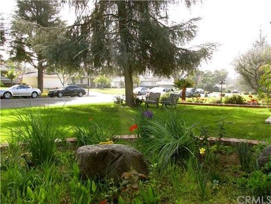 Lawn