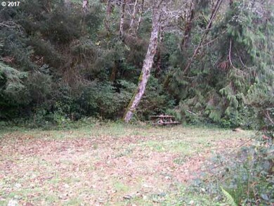 7290 N Fork Rd, Florence, OR 97439 - photo 5