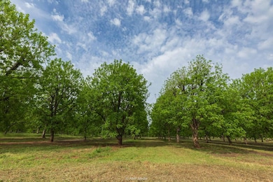 0 Bayou St, Brownwood, TX 76801 - photo 4