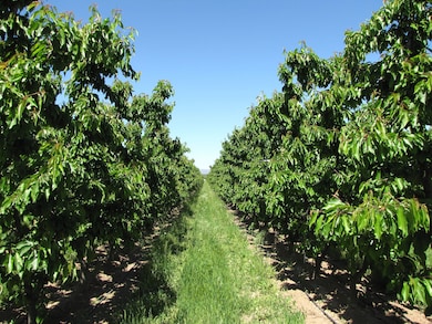 45402 N O'Brien Rd, Prosser, WA 99350 - photo 2